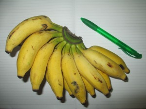 mini bananas :)